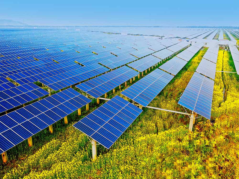 凯时国际(中国游)官方网站